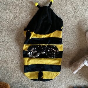 Dog Bee costume